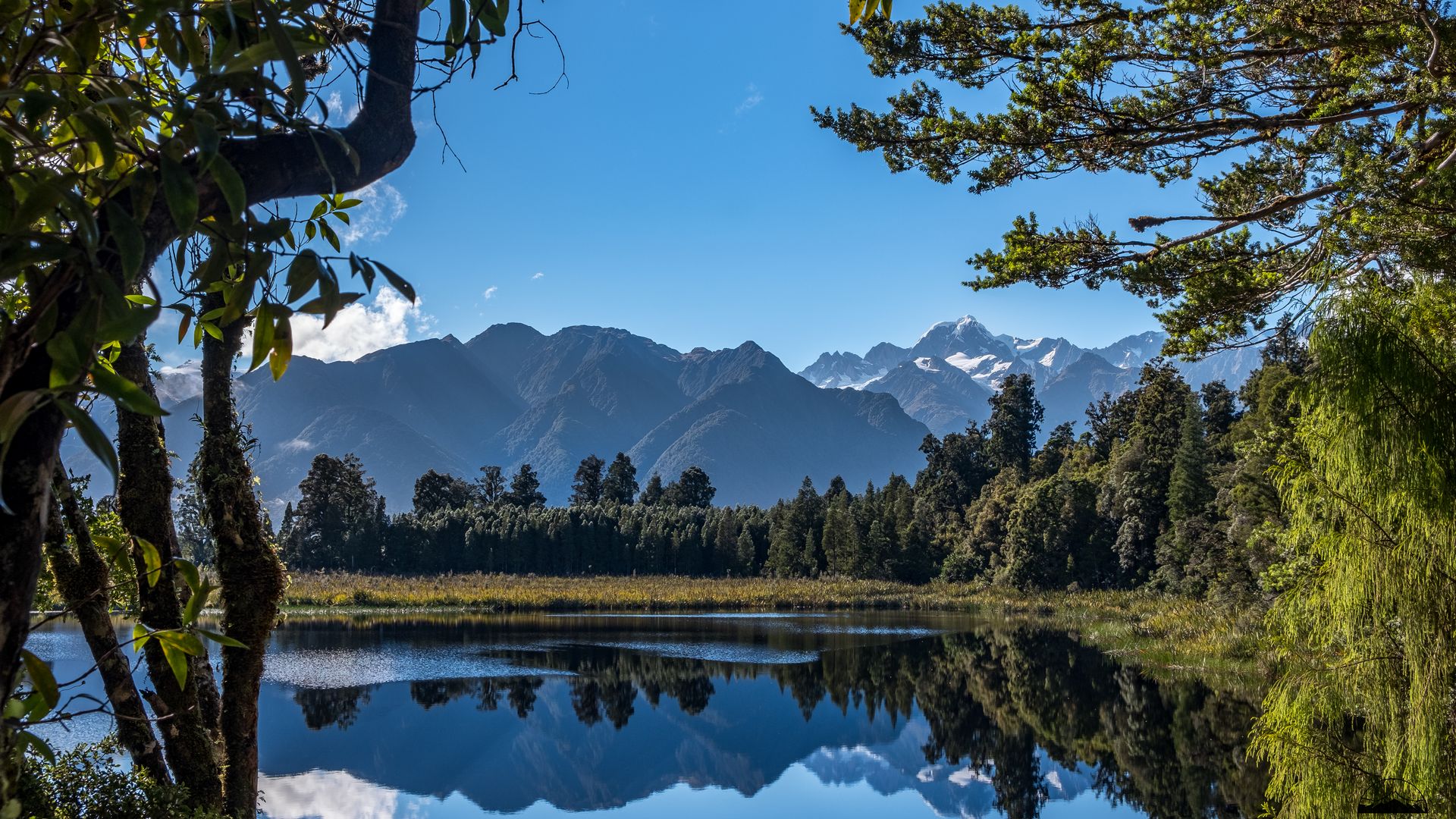 Lake Matheson NZ | Once Upon A Trip